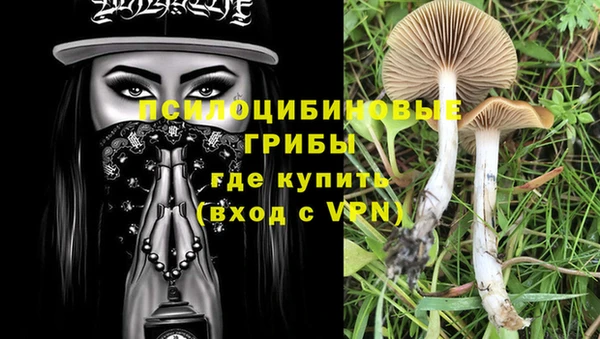 прущий лед Фурманов