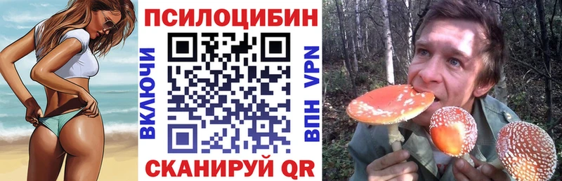 Галлюциногенные грибы Psilocybine cubensis  дарнет шоп  Таганрог 